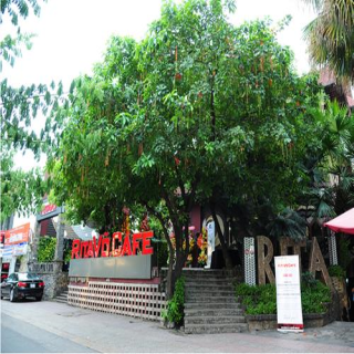 Rita Võ Cafe