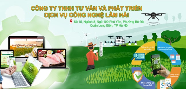 Công ty TNHH Tư vấn và Phát triển Dịch vụ Công nghệ Lâm Hải