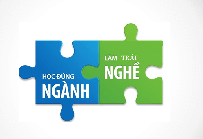Bạn phải làm việc trái ngành mình đã học