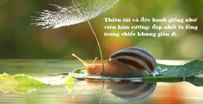 Cuộc sống càng đơn giản thì càng bình yên đó là nghệ thuật sống