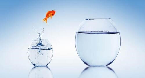 Đừng nên ngại thay đổi công việc khi không còn phù hợp