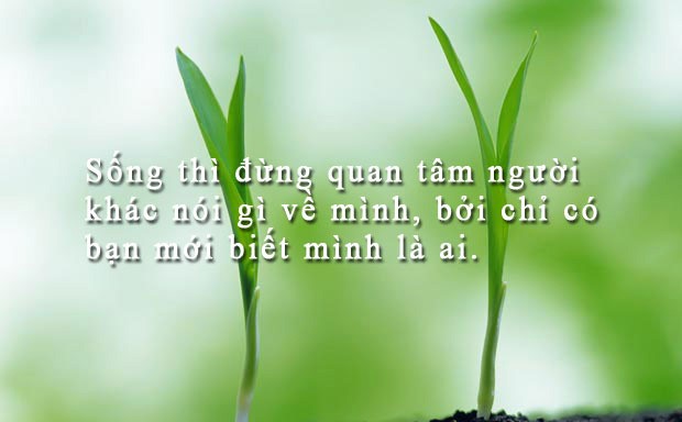 Đừng quá quan tâm đến lời nói của người khác