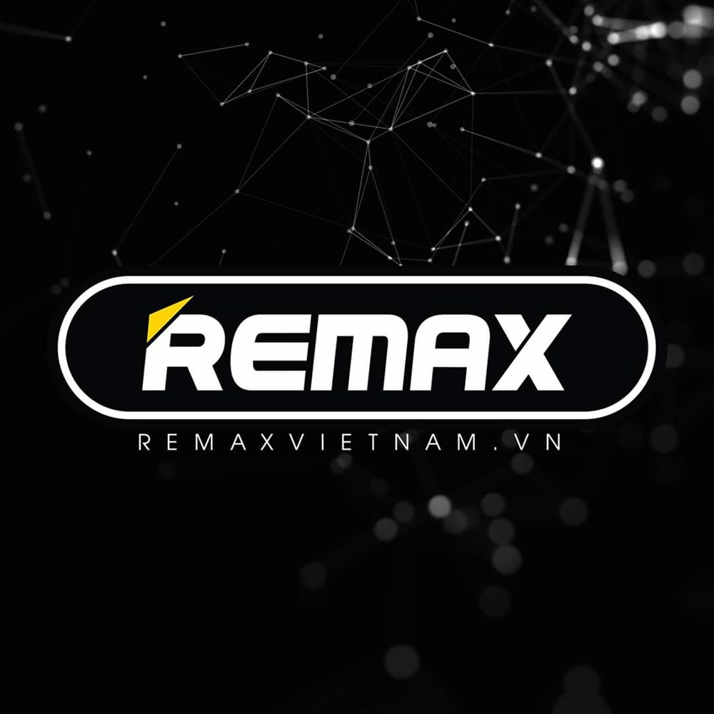 Công ty Remax Việt Nam